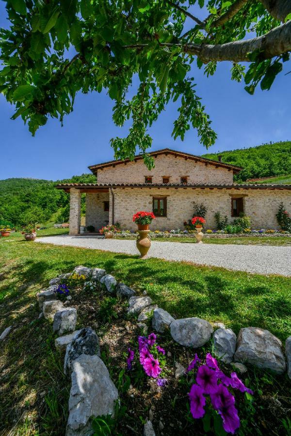 Agriturismo La Valle Dei Bronzetti 카시아 외부 사진